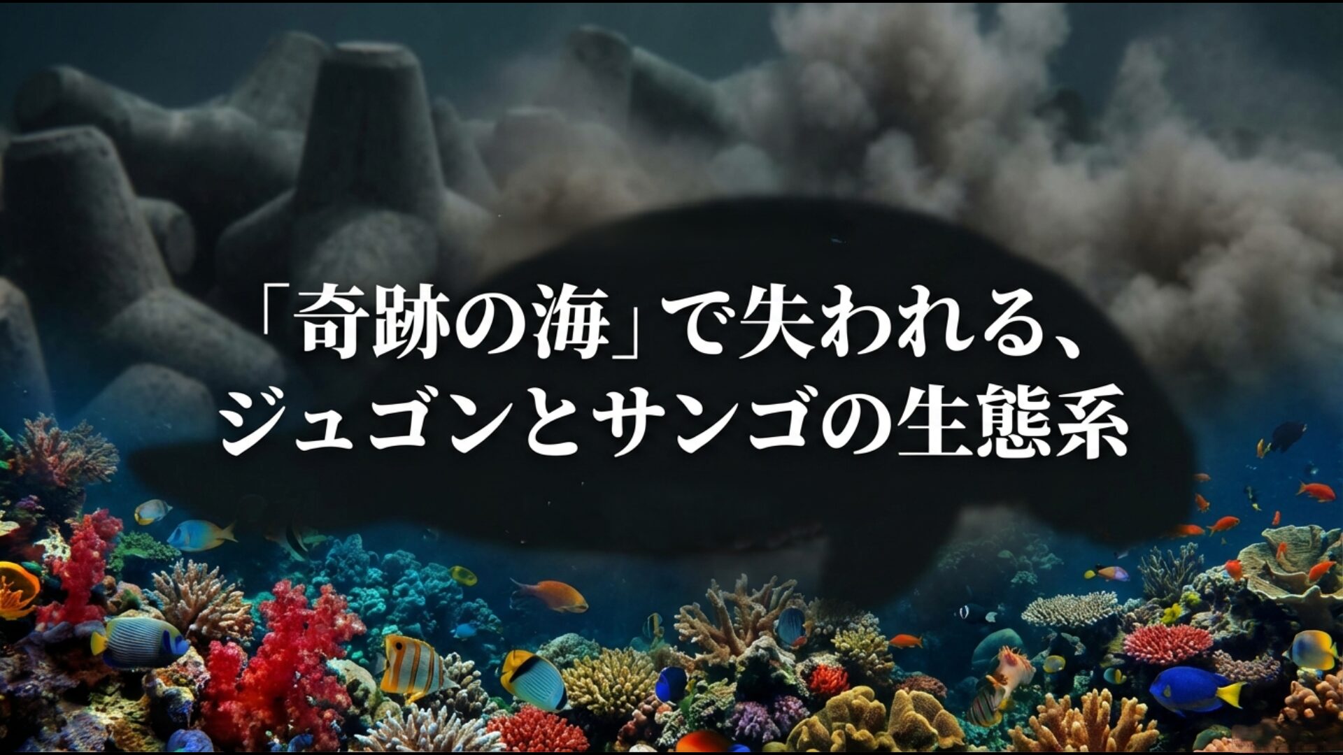 埋め立て工事により失われるジュゴンとサンゴ礁の豊かな海洋生態系