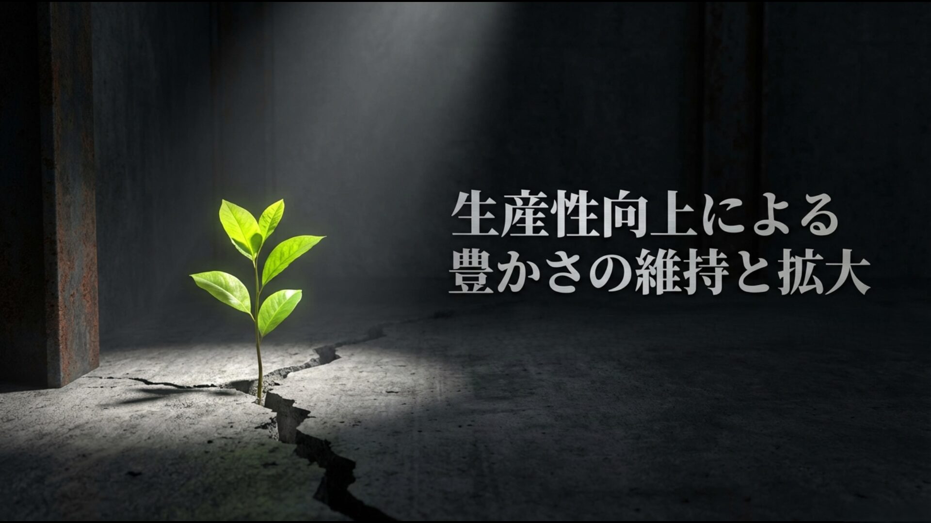 人口減少を停滞の言い訳にせず、生産性向上によって日本の豊かさを拡大するビジョン