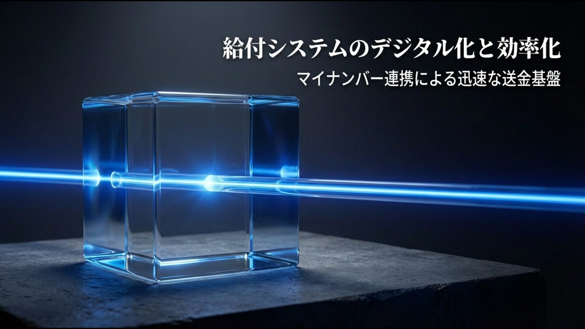 デジタル円を活用した迅速な送金基盤と給付システムのデジタル化