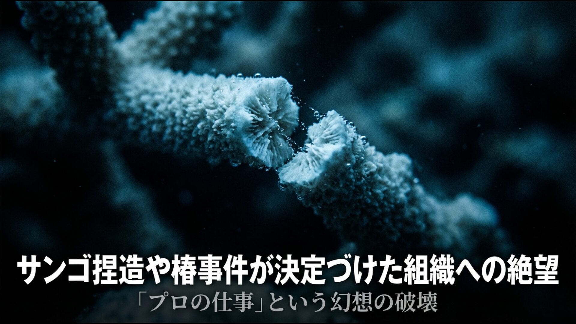 朝日新聞サンゴ捏造事件や椿事件など報道不祥事による信頼喪失の図解