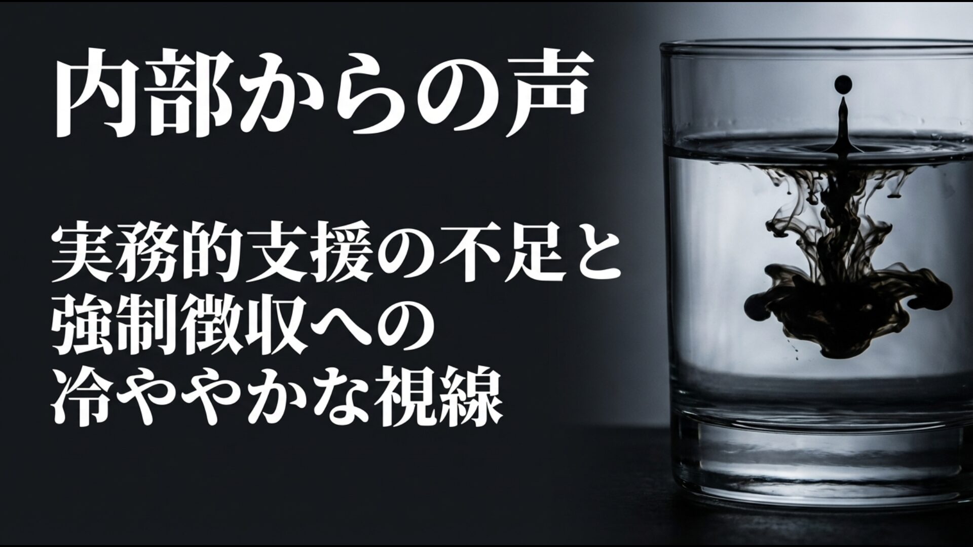 実務的支援の不足と会費の使途に対する内部からの批判的な視線